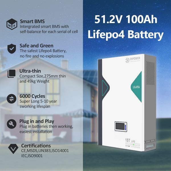 Аккумулятор Dipower 5кв Wall Mounted 51,2V 100AH LiFePO4 5kWh  400101 фото